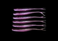 Jerk Shad 5" PURPLE SHADOW soft plastic fishing lure